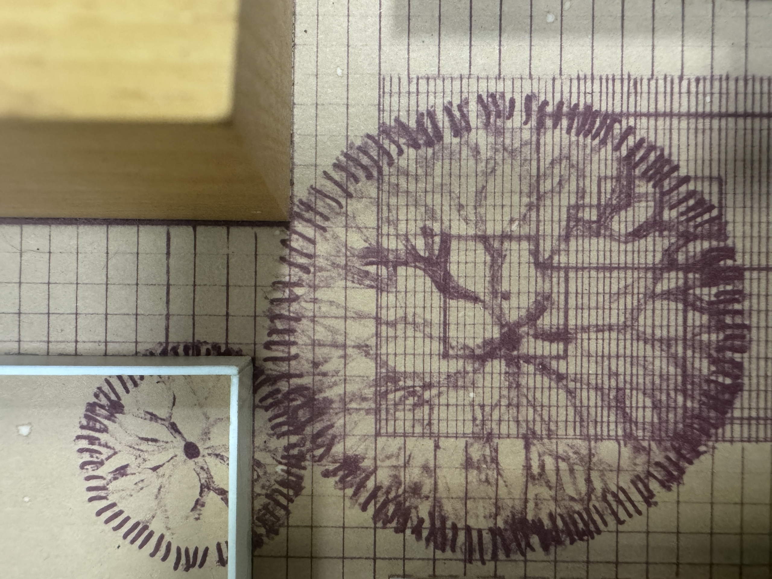 Enweby fullscreen background slideshow