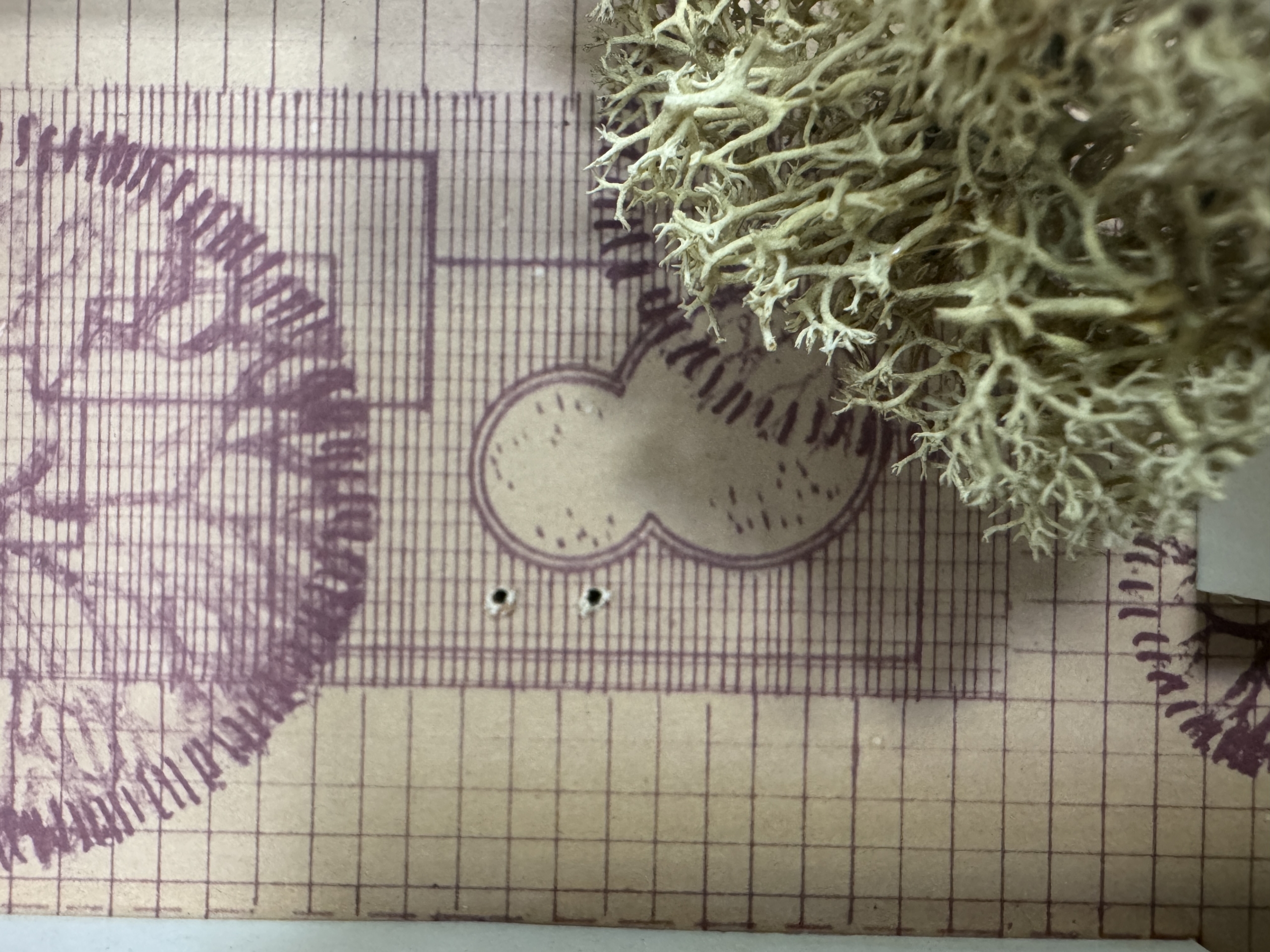 Enweby fullscreen background slideshow